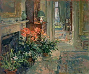 Clivia und Orchidee